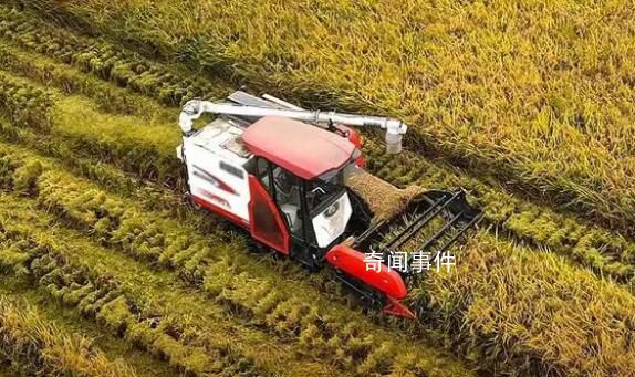 為加快建設農業(yè)強國而努力奮斗 堅持黨領導三農工作原則不動搖