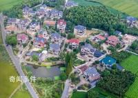 推進鄉村振興 加快建設農業強國