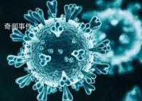 防控措施調整 今年春節如何返鄉?