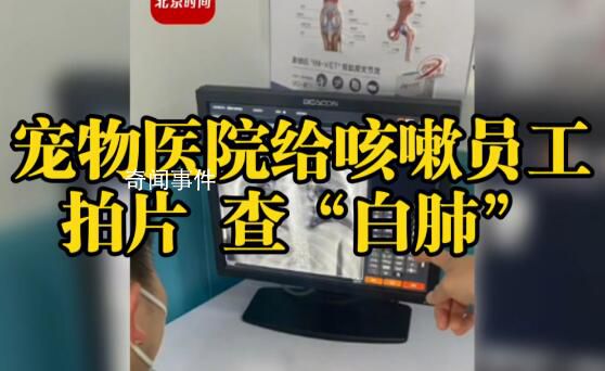 老板回應寵物醫院給人拍片查白肺 員工自查不作為診斷依據