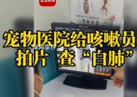 老板回應(yīng)寵物醫(yī)院給人拍片查白肺 員工自查不作為診斷依據(jù)