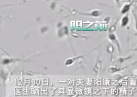 夫妻陽康后著急備孕遭勸阻 網(wǎng)友表示：等一段時間再說