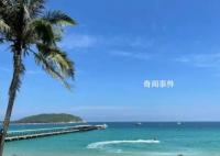 三亞民宿老板稱一個(gè)月賺回三年虧損 春節(jié)20萬一晚酒店已售罄