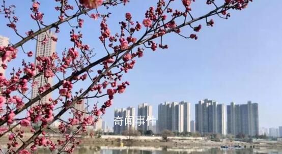 春山可望 未來可期