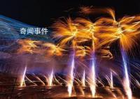 湘贛邊煙花爆竹創意賽決賽 在瀏陽天空劇院舉行