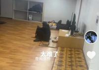 入境韓國被關(guān)小黑屋?親歷游客講述