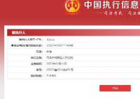 劉鑫已成被執(zhí)行人 執(zhí)行標的近72萬