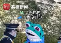 柳州城管回應與青蛙小販爭執 不能因為可愛就對違規行為視而不見