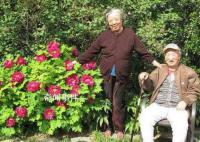 陳佩斯母親感染新冠去世 享年91歲