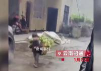 “背菜女孩”家人:1年賺20萬,不窮