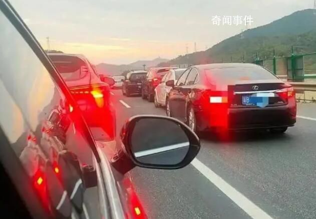 堵車男子在高速上與公雞打架 網(wǎng)友：有人被年貨打了