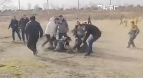 景區(qū)設(shè)免費抓雞活動 抓到可帶走