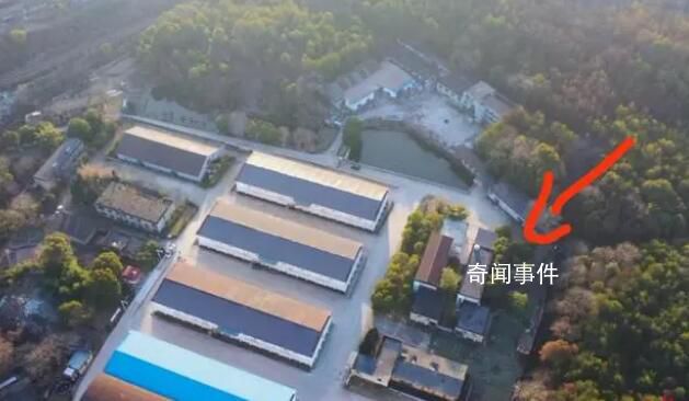 官方回應發(fā)現(xiàn)胡鑫宇通報只寫金雞山 為何通報中地點不寫詳實?