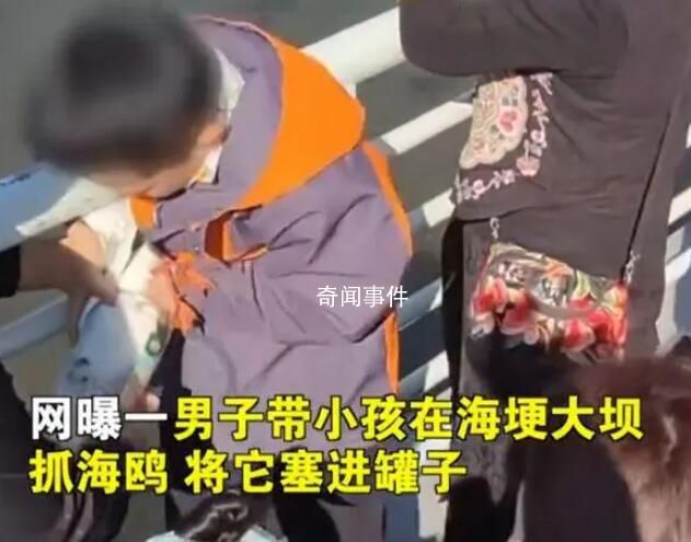 家長帶男孩抓海鷗硬生生塞進(jìn)罐子 視頻中還有一女子讓孩子抓翅膀