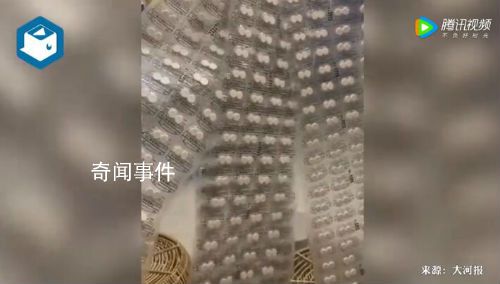 網友囤1000片退燒藥全砸手里了 陽之前買的陽康之后很久年二十七八才到貨