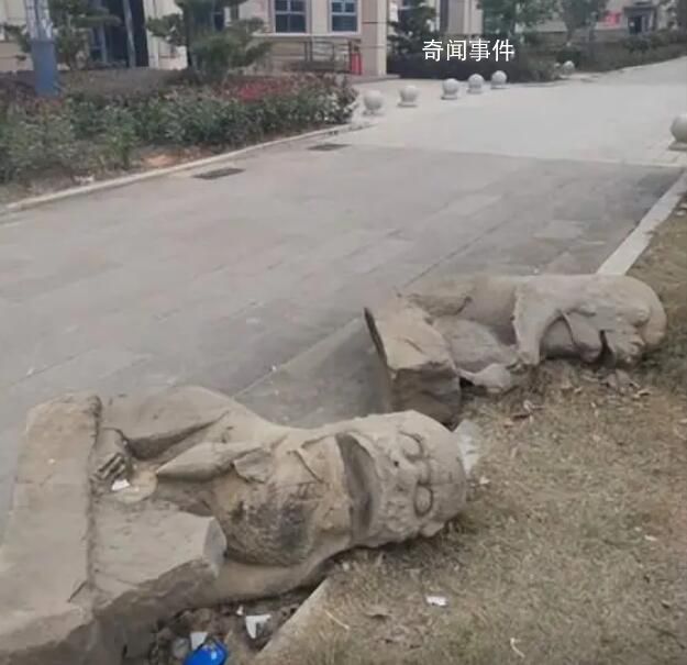 博物館回應(yīng)石獅被丟在門口:放不下 