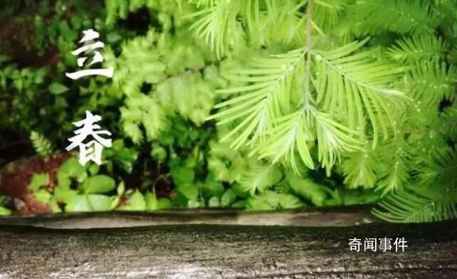 立春為什么要“咬春” 立春時(shí)間2023年幾點(diǎn)幾分