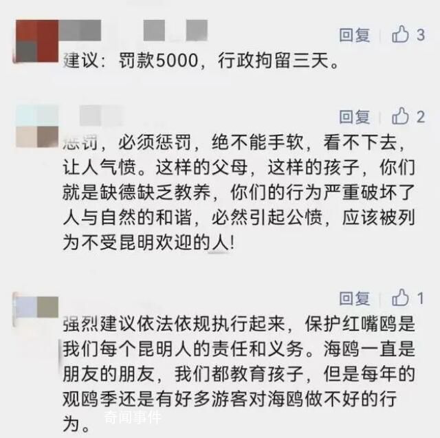 男孩抓海鷗塞瓶子 監(jiān)護(hù)人被罰兩千