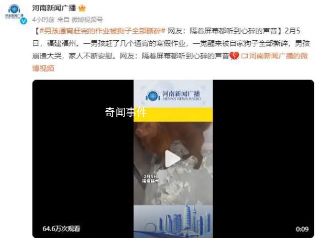 男孩通宵趕完作業被狗子撕碎 隔著屏幕都聽到心碎的聲音