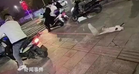 騎車拖行小貓致死當(dāng)事人公開道歉 深感痛心懇請原諒