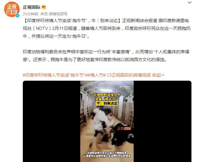 印度呼吁將情人節變成“抱牛節” 印度政府呼吁民眾在這一天擁抱奶牛