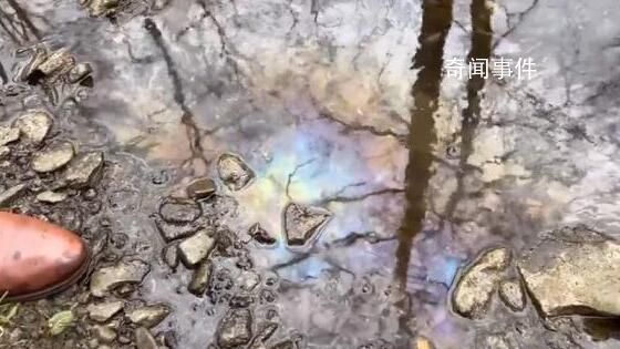實(shí)拍美俄亥俄州小溪:全是死魚死蟲