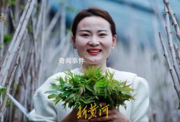 幼師轉(zhuǎn)行新農(nóng)人年入500萬 大棚內(nèi)種植香椿樹當(dāng)?shù)剡€是獨(dú)一份
