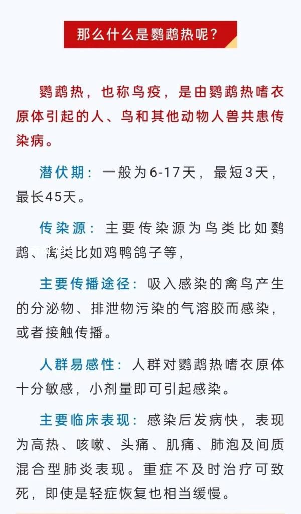 浙江一地本月連續(xù)報(bào)告鸚鵡熱病例 鸚鵡熱是什么病會(huì)傳染嗎