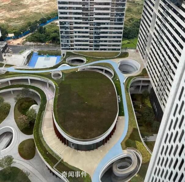 新平臺、新通道、新銜接 引領灣區科技創新邁向更高層