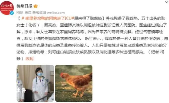 女子喜歡養(yǎng)雞鴨患鸚鵡熱住進ICU 鸚鵡熱是什么病會傳染嗎