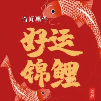 全城搜尋!春日充電季最強(qiáng)學(xué)習(xí)錦鯉 會是你嗎