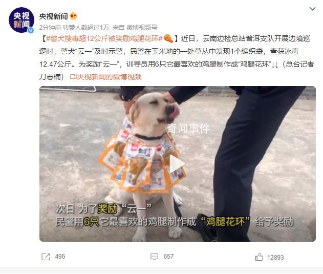 警犬搜毒超12公斤被獎勵雞腿花環(huán) 汪汪隊再立大功