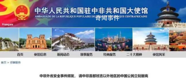 中國公民在中非遇襲9死2傷 中方回應