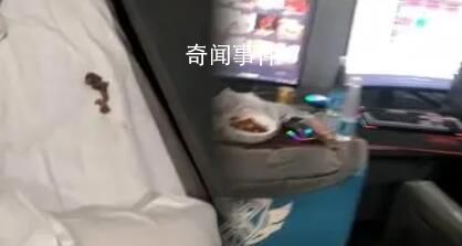 酒店枕頭下驚現一窩老鼠 回應：可能是窗戶沒關好
