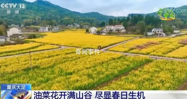 春天里的中國(guó) 春意盎然萬(wàn)象更新