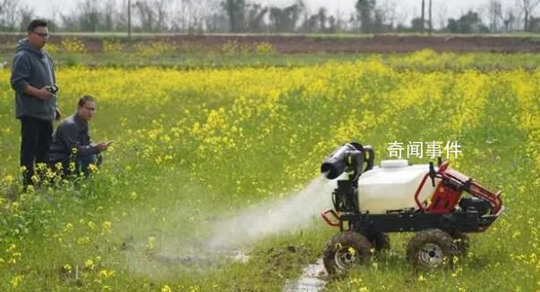 強科技端牢“中國飯碗” 機械化普及讓農民解放了雙手