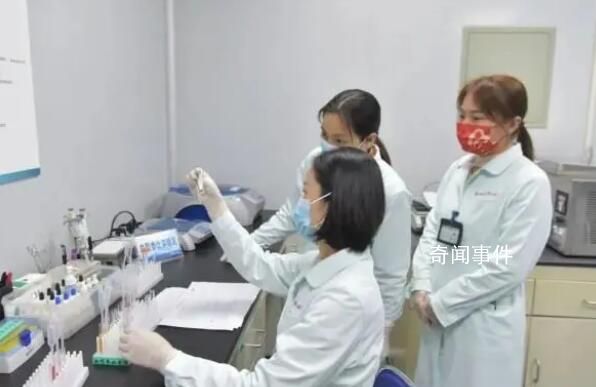 廣東檢出1例"恐龍血" 關于恐龍血你知道多少