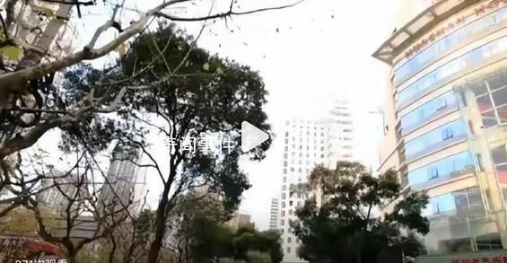 醫(yī)生因糾紛殺害護士妻子被控制 案件正在進一步偵辦中