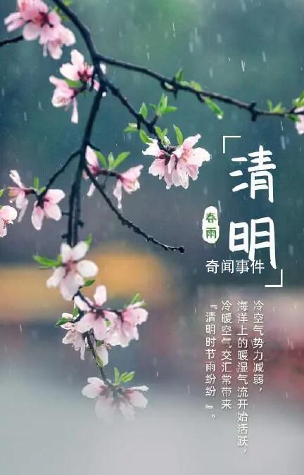 清明時(shí)節(jié)雨紛紛有三大原因 清明為什么總下雨