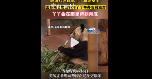 孟菲斯動物園將為丫丫舉辦告別派對 丫丫會在那里待到月底