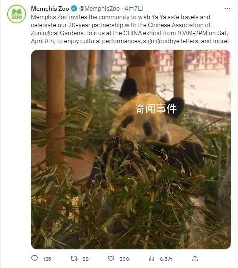 丫丫正式移交中方 正在討論后續(xù)合作