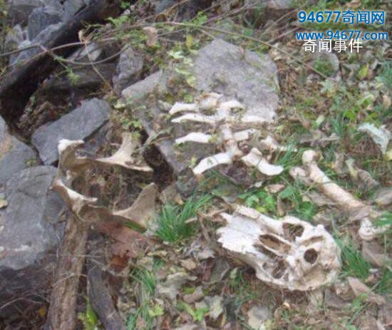 河南焦作封門村靈異事件 封門村到底發(fā)生了什么事 封門村鬧鬼是真的嗎