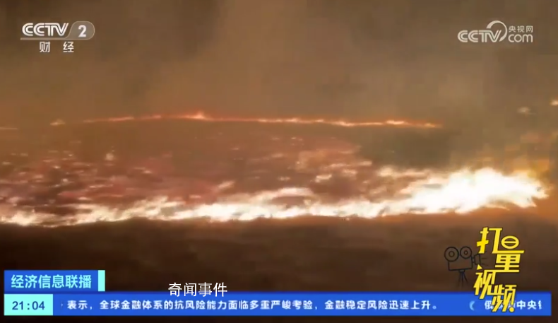 蒙古國發(fā)生草原火災 燒死大量牲畜