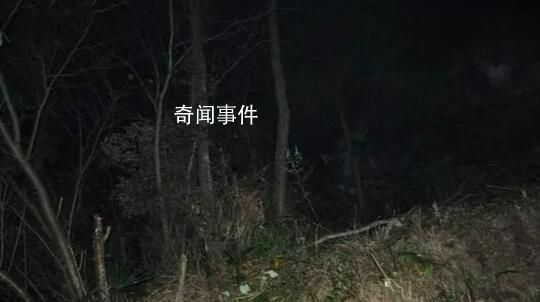 權(quán)威人士回應(yīng)村民疑被當(dāng)獵物遭槍擊 案件正在偵查階段嫌疑人已被控制