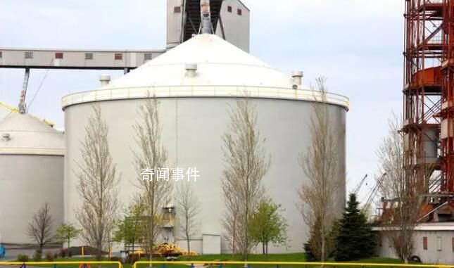 中紀委揭批涉糧腐敗 對涉糧腐敗問題線索開展大起底