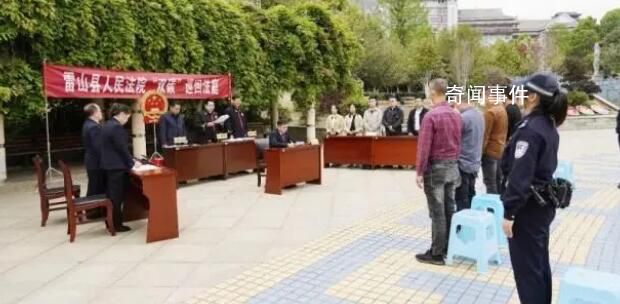 2600歲古楠木王已安排專人看護 已裝攝像頭