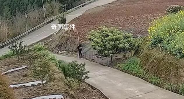 女子乘奔馳下鄉(xiāng)順走一只鴨子 因涉嫌盜竊已被警方依法處理