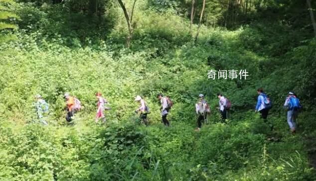 警方回應“3人在四川一林場自殺” 正在開展走訪調查等工作