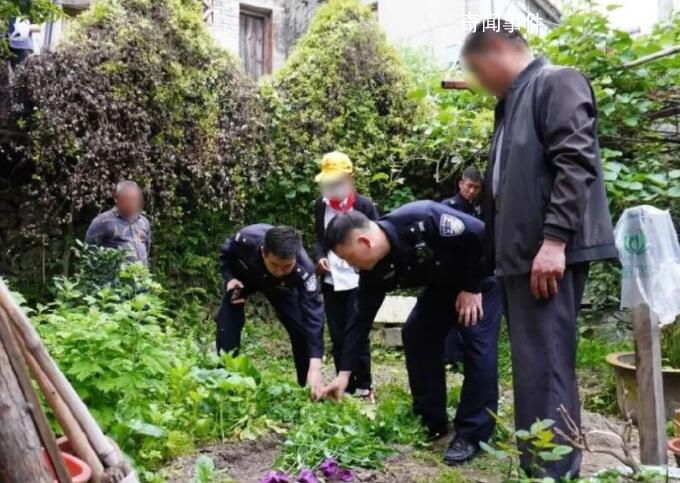 浙江小學(xué)生看到罌粟報(bào)警 榮膺禁毒小衛(wèi)士