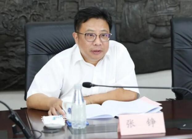 曾主審小紅樓涉黑案的他獲刑 張錚簡介個人資料